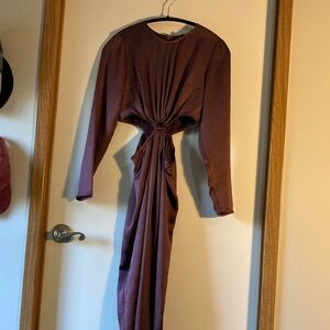 Express Long Sleeve Brown Dress